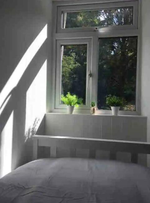 A Woodland Retreat - Apartment In Converted Mill Helston Exterior photo